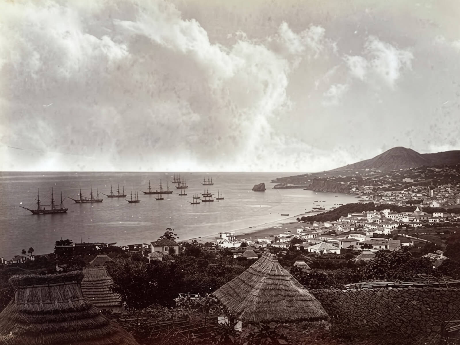 Goisco's story starts on another island.