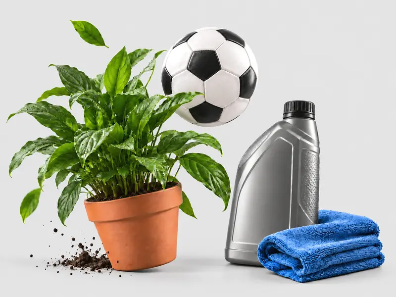 Garden, Sports & Automotive